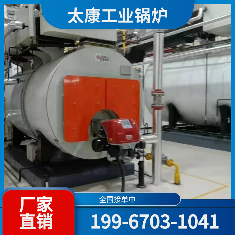 池州低氮燃气锅炉
